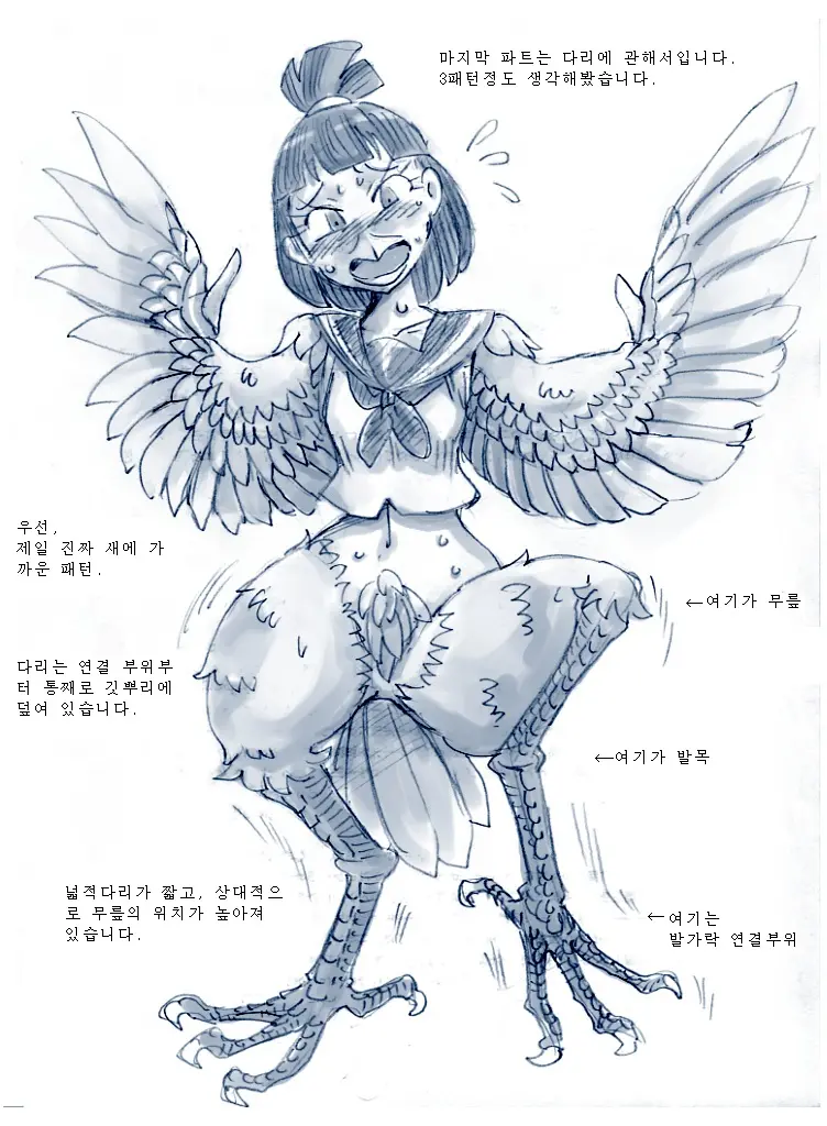 Tori TF Ni Kansuru Kousatsu To Renshuu | Study And Practice About Bird TF